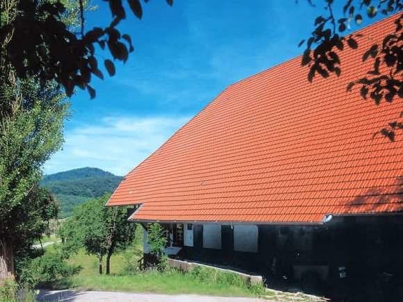Керамичесая черепица Nelskamp  D 15